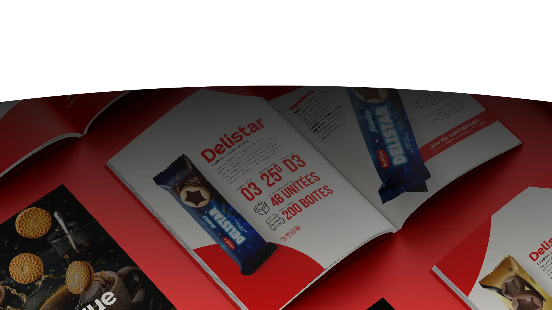 Téléchargement catalogue PDF Bidelice