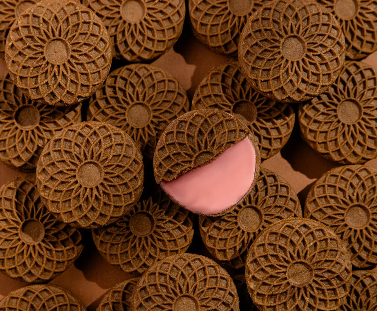 Galerie photos usine Bidelice Oran - image 1